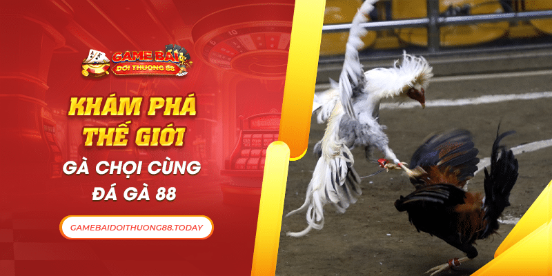 Đá gà 88 tại Game bài đổi thưởng