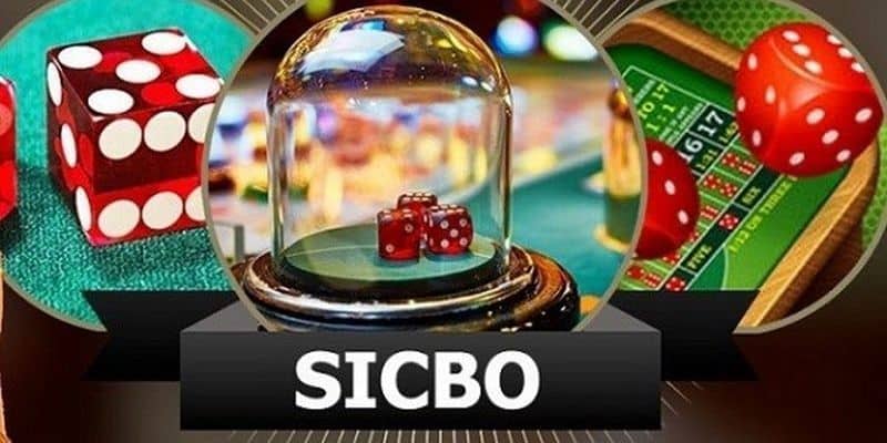 Cách cược tổng vào sicbo tại game bài đổi thưởng